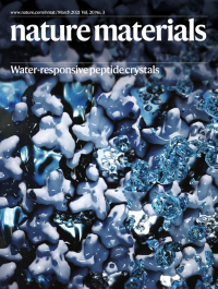 Mature Materials Cover