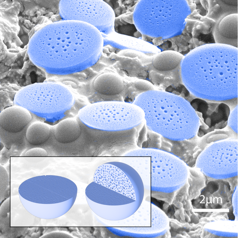 Latest Paper Image